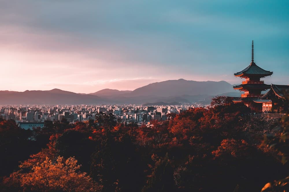 센소지